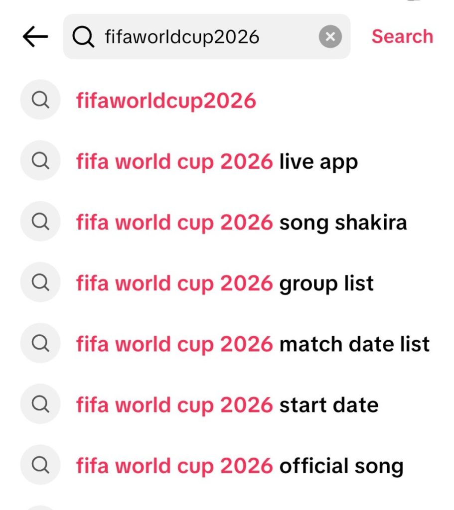 TikTok search suggestions showing social search SEO in action